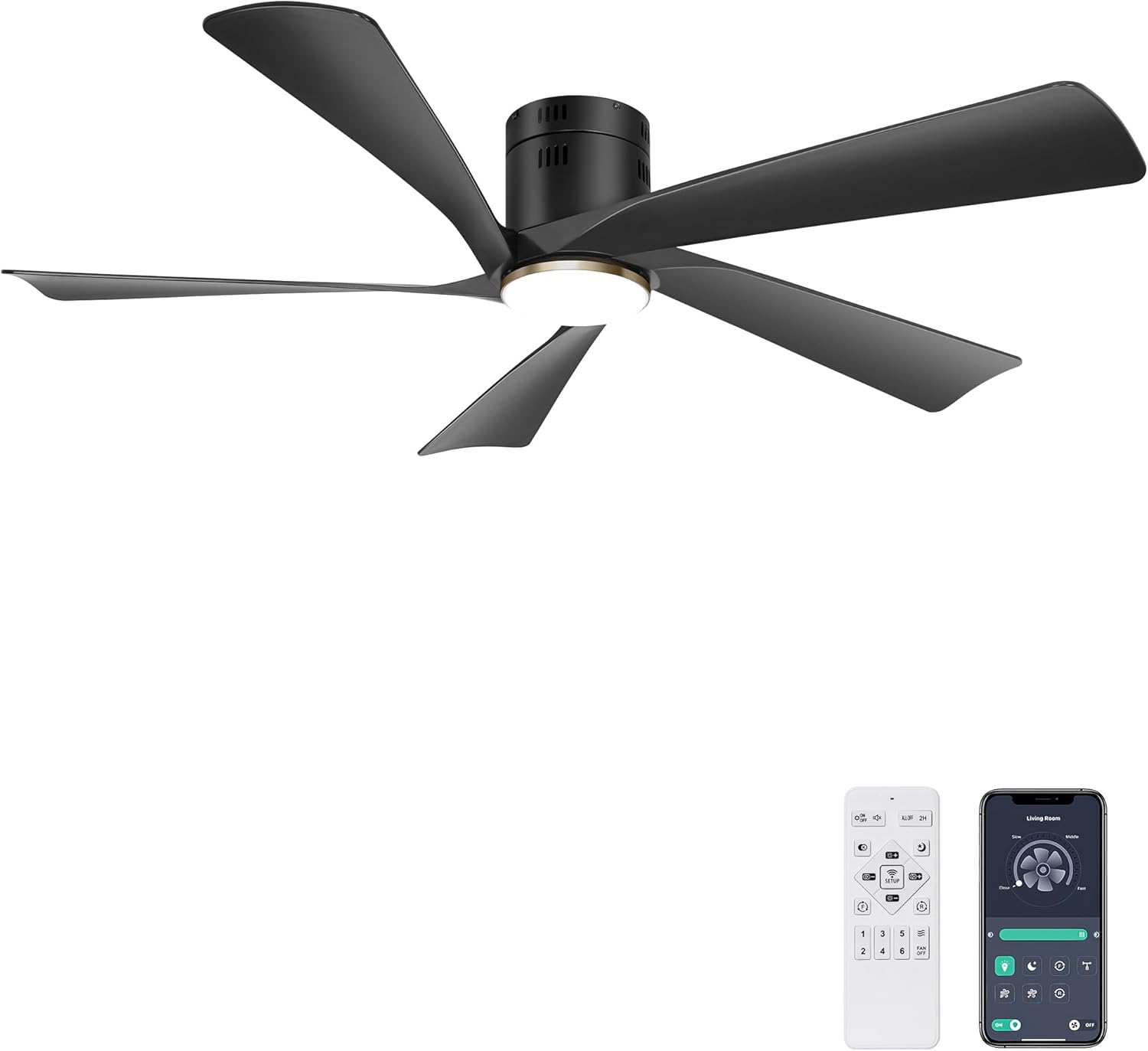 Black Ceiling Fans