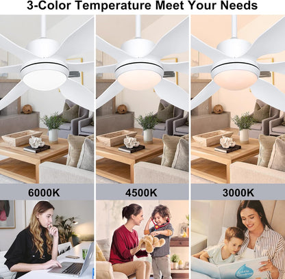 Ohniyou 66'' Ceiling Fan with Lights 007W