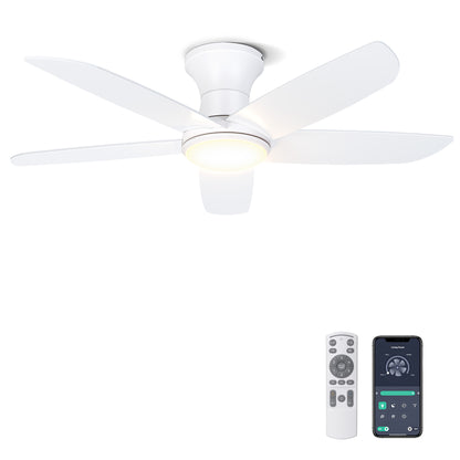 Ohniyou Ceiling Fan with Lights, 46" Flush Mount Ceiling Fans-099W
