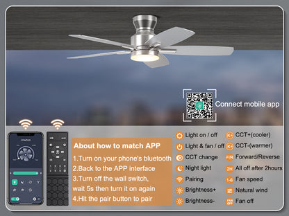 Ohniyou Ceiling Fans with Lights,42 Inch (Silver)-100