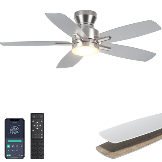 Ohniyou Ceiling Fans with Lights,42 Inch (Silver)-100
