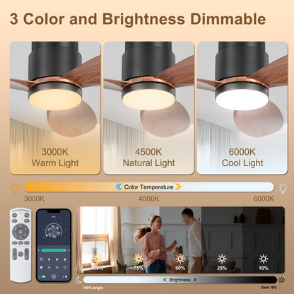 Ohniyou 42'' Flush Mount Ceiling Fans with Lights（Walnut Color）