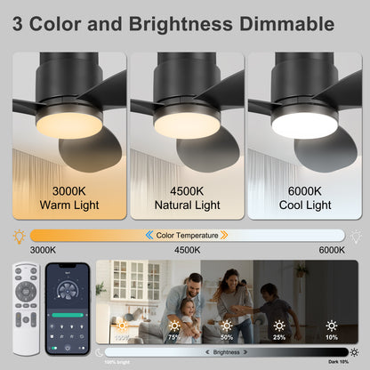 Ohniyou 42'' Flush Mount Ceiling Fans with Lights（Black）