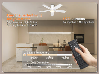 Ohniyou Ceiling Fans with Lights 42 Inch (White)-100