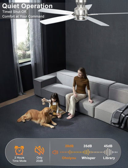 hniyou Ceiling Fans with Lights,52 Inch (Silver)-100