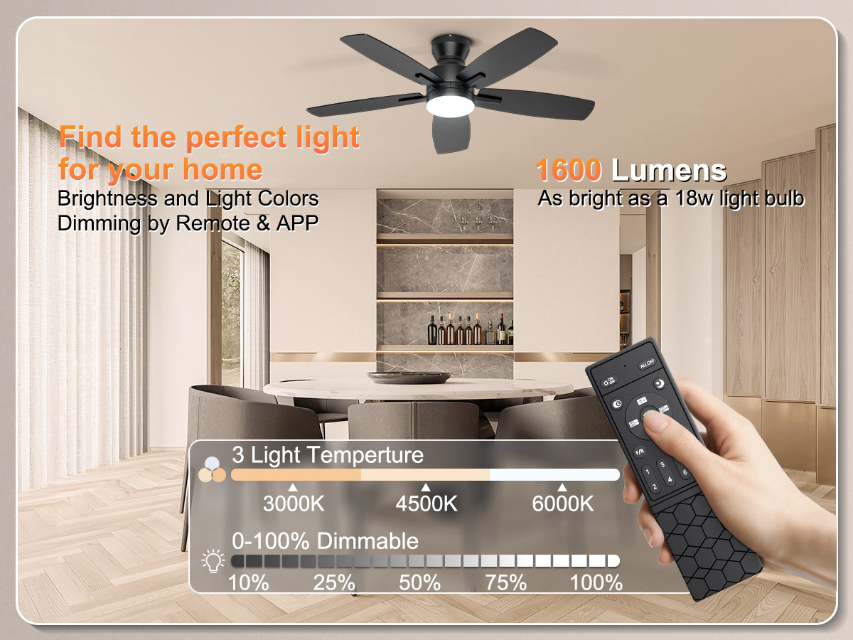 Ohniyou Ceiling Fans with Lights 42 Inch (Black)-100