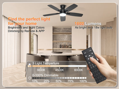 Ohniyou Ceiling Fans with Lights 42 Inch (Black)-100