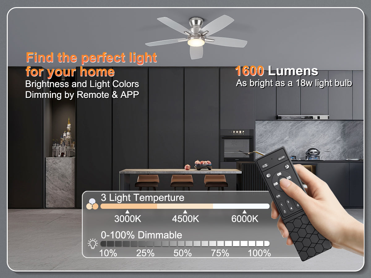 Ohniyou Ceiling Fans with Lights,42 Inch (Silver)-100