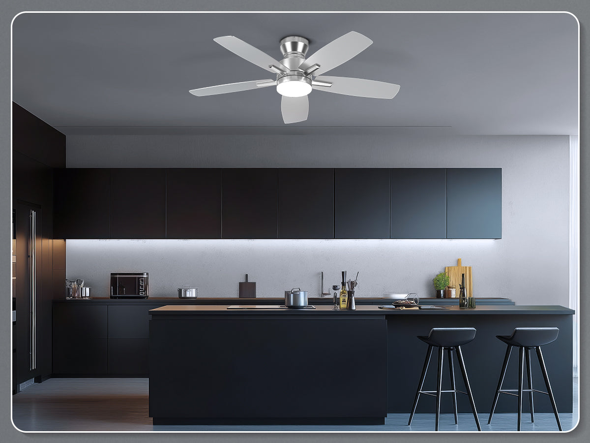 Ohniyou Ceiling Fans with Lights,42 Inch (Silver)-100