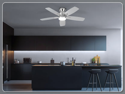Ohniyou Ceiling Fans with Lights,42 Inch (Silver)-100