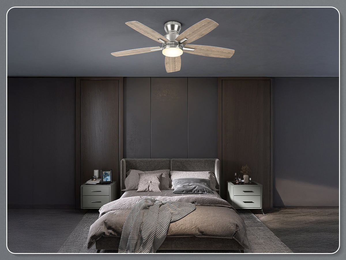 Ohniyou Ceiling Fans with Lights,42 Inch (Silver)-100