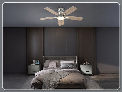 Ohniyou Ceiling Fans with Lights,42 Inch (Silver)-100