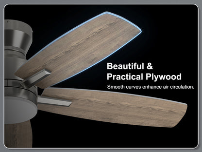 Ohniyou Ceiling Fans with Lights,42 Inch (Silver)-100