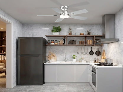 Ohniyou Ceiling Fans with Lights 42 Inch (Silver)-047
