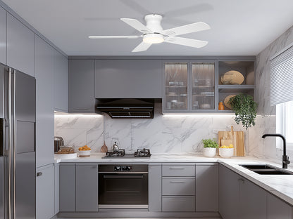 Ohniyou Ceiling Fans with Lights 42 Inch (White)-047