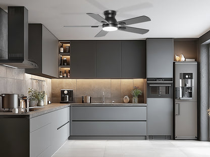Ohniyou Ceiling Fans with Lights 42 Inch (Black)-047