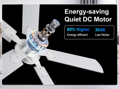 Ohniyou Ceiling Fans with Lights 52 Inch (White)-047