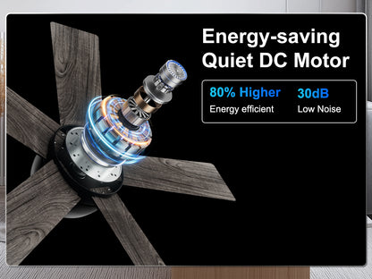 Ohniyou Ceiling Fans with Lights 32 Inch (Black)-047