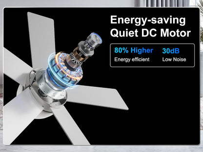Ohniyou Ceiling Fans with Lights 32 Inch (Silver)-047
