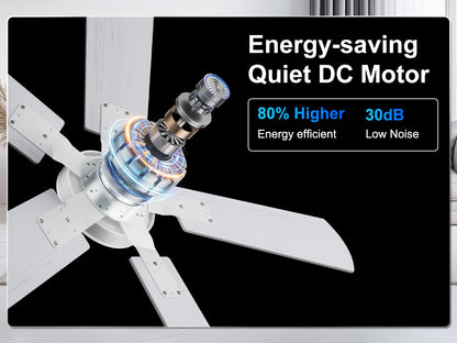 Ohniyou Ceiling Fans with Lights 42 Inch (White)-047
