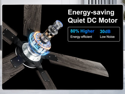 Ohniyou Ceiling Fans with Lights 52 Inch (Black)-047