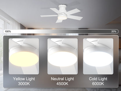 Ohniyou Ceiling Fans with Lights 32 Inch (White)-047