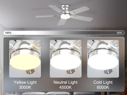 Ohniyou Ceiling Fans with Lights 42 Inch (Silver)-047