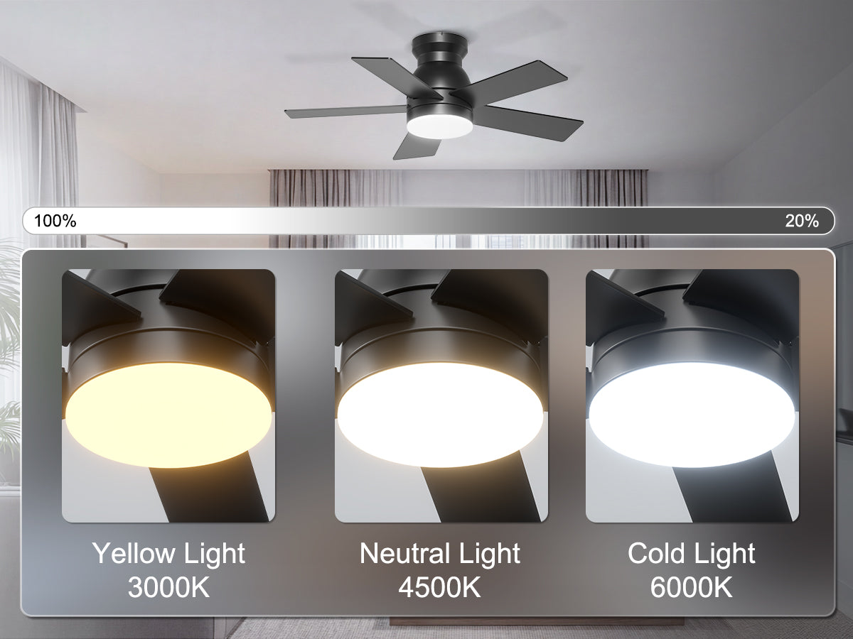 Ohniyou Ceiling Fans with Lights 32 Inch (Black)-047