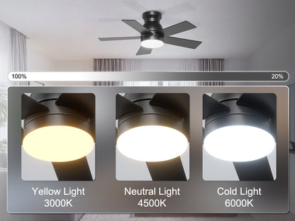 Ohniyou Ceiling Fans with Lights 32 Inch (Black)-047