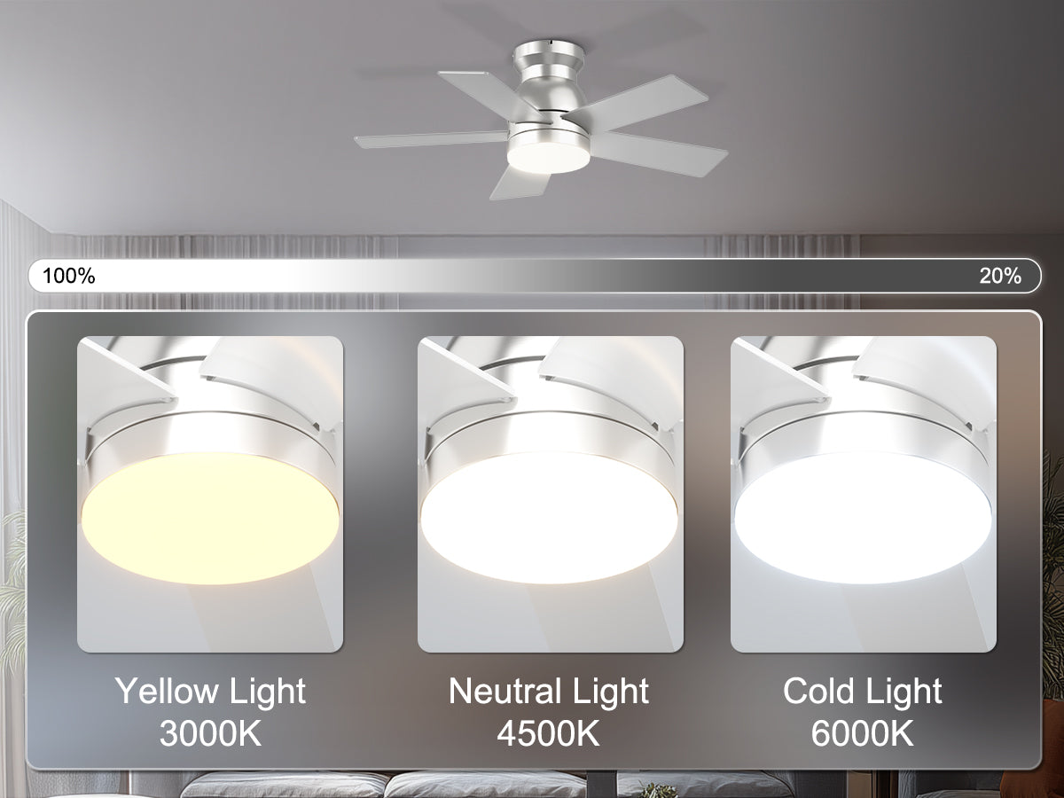 Ohniyou Ceiling Fans with Lights 32 Inch (Silver)-047