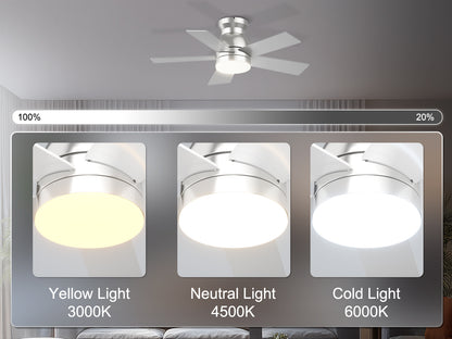 Ohniyou Ceiling Fans with Lights 32 Inch (Silver)-047