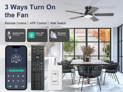 Ohniyou Ceiling Fans with Lights 42 Inch (Black)-047
