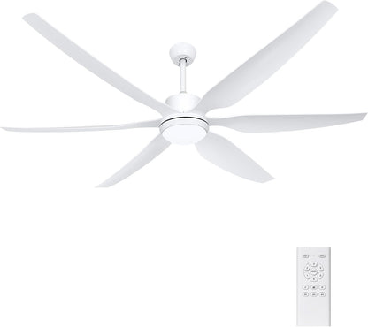 Ohniyou 66'' Ceiling Fan with Lights 007W